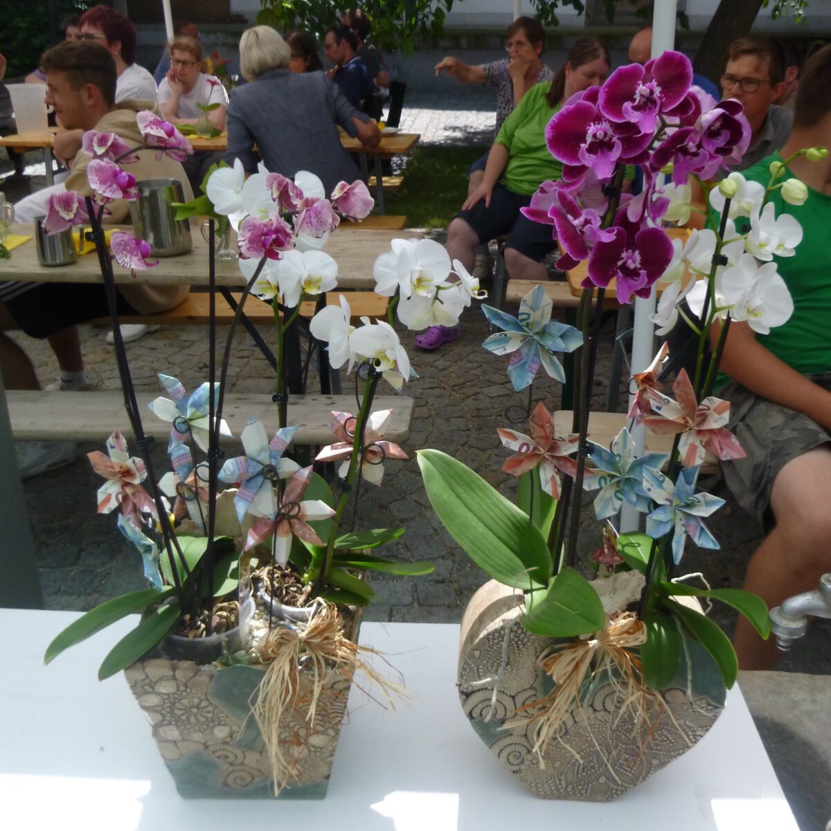 zwei Phalinopsis-Orchideen-Blumenstöcke mit pinken und weißen Blüten mit handgefertigten Keramik-Übertöpfen. In der Erde der Blumenstöcke stecken zu Blüten gefaltete Geldscheine (10 Euro und 20 Euro Scheine)